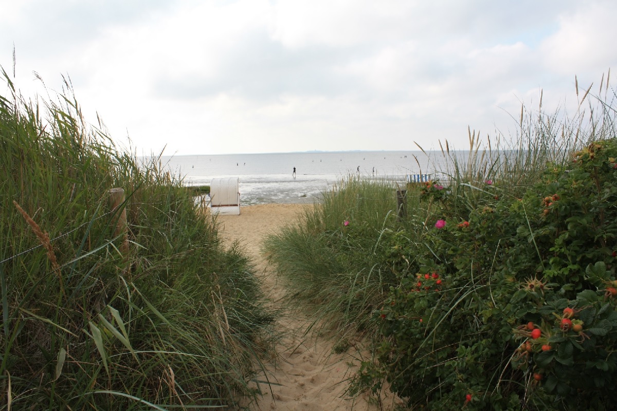 Weg durch die Dünen zum Strand von Cuxhaven-Duhnen